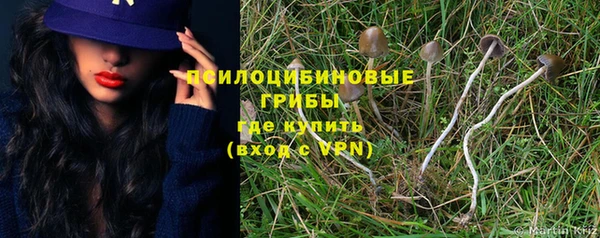 герыч Каменногорск