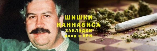 молекула духа Каменск-Шахтинский