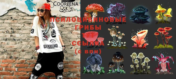 дурь Инта
