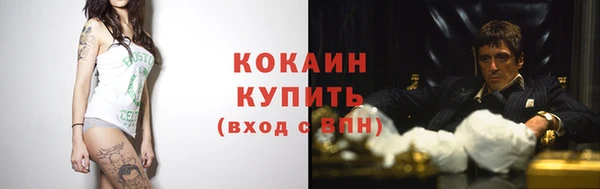 ALPHA PVP Каменка