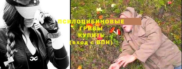 герыч Каменногорск