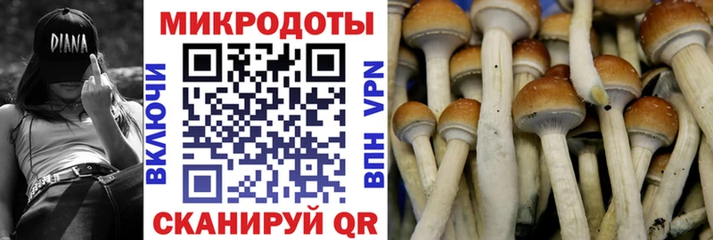 Псилоцибиновые грибы GOLDEN TEACHER Татарск